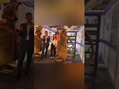 Viagem gratificante à Exposição de Construção de Sydney